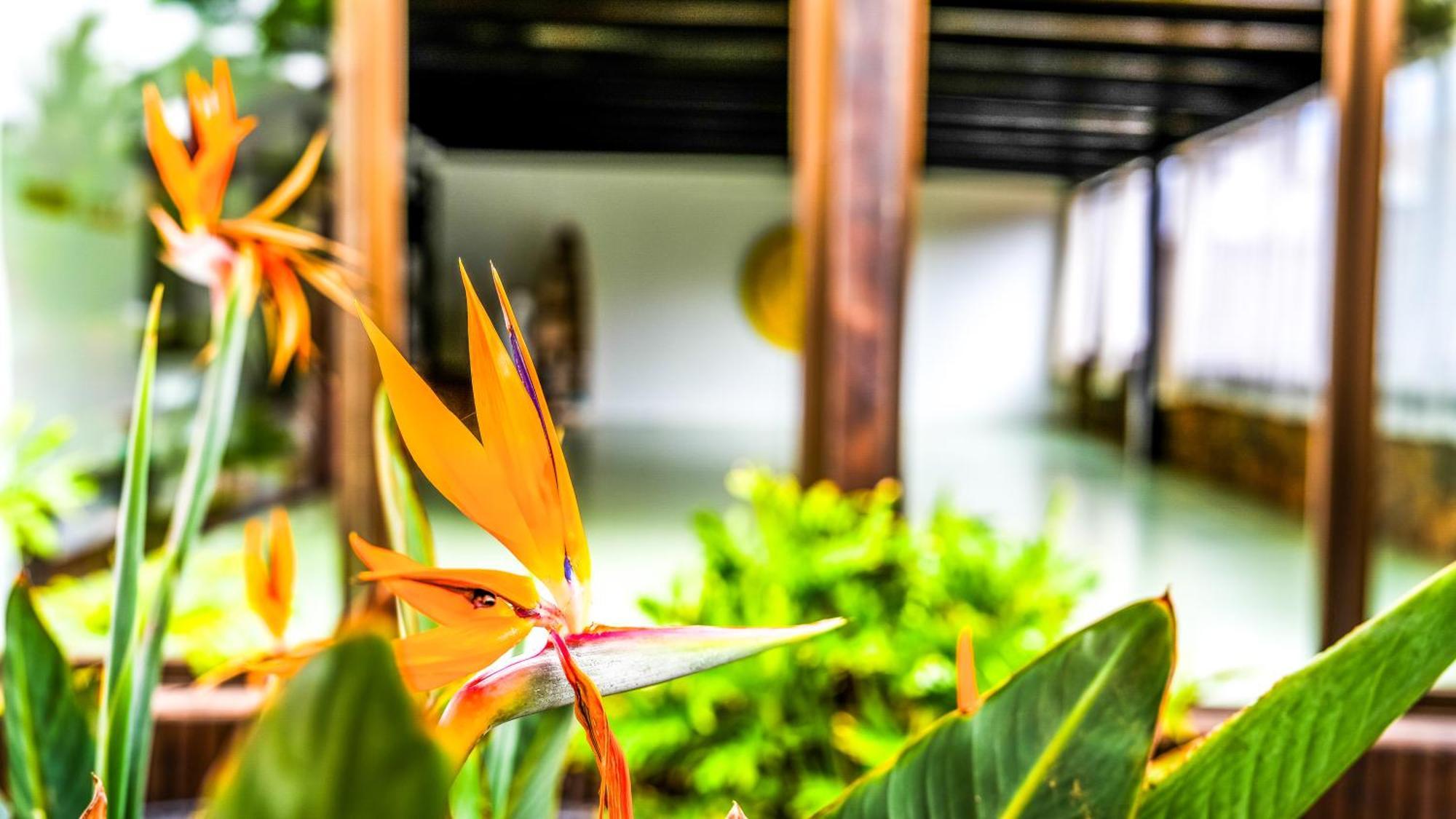 Villa Azul Fuerteventura Villaverde  Екстер'єр фото